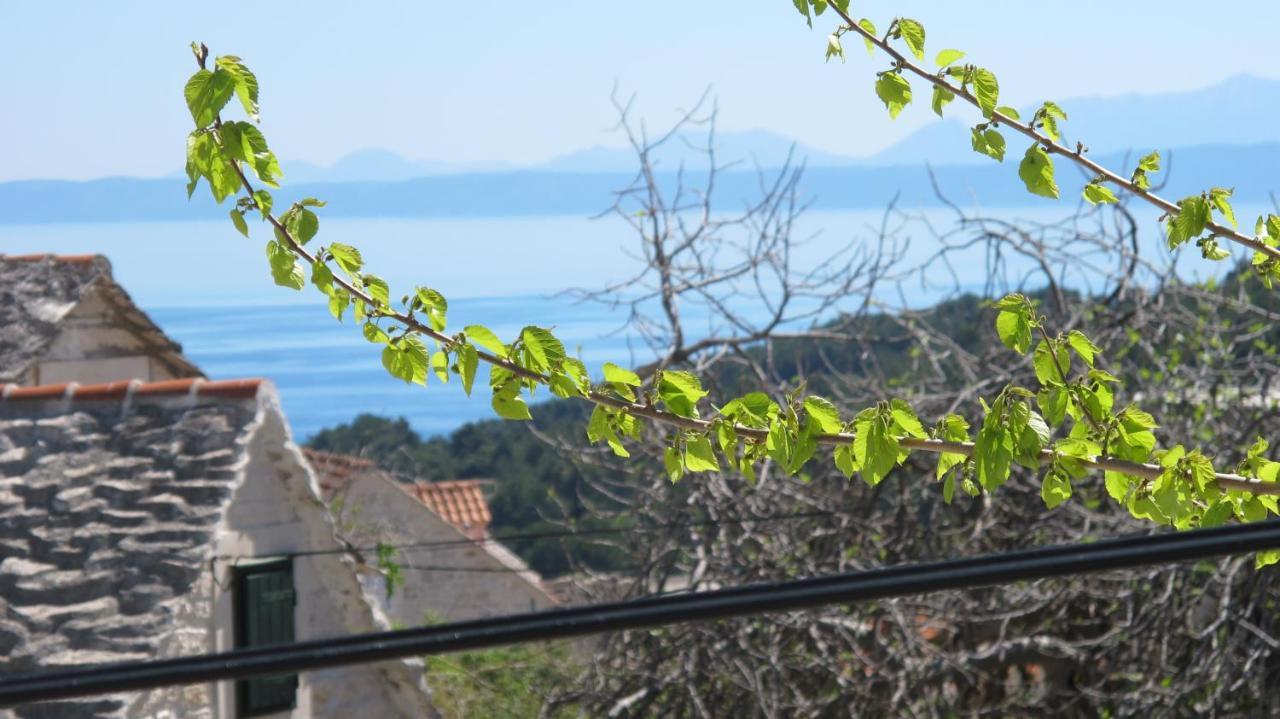 Guesthouse Ursic Selca (Brac) Exterior foto